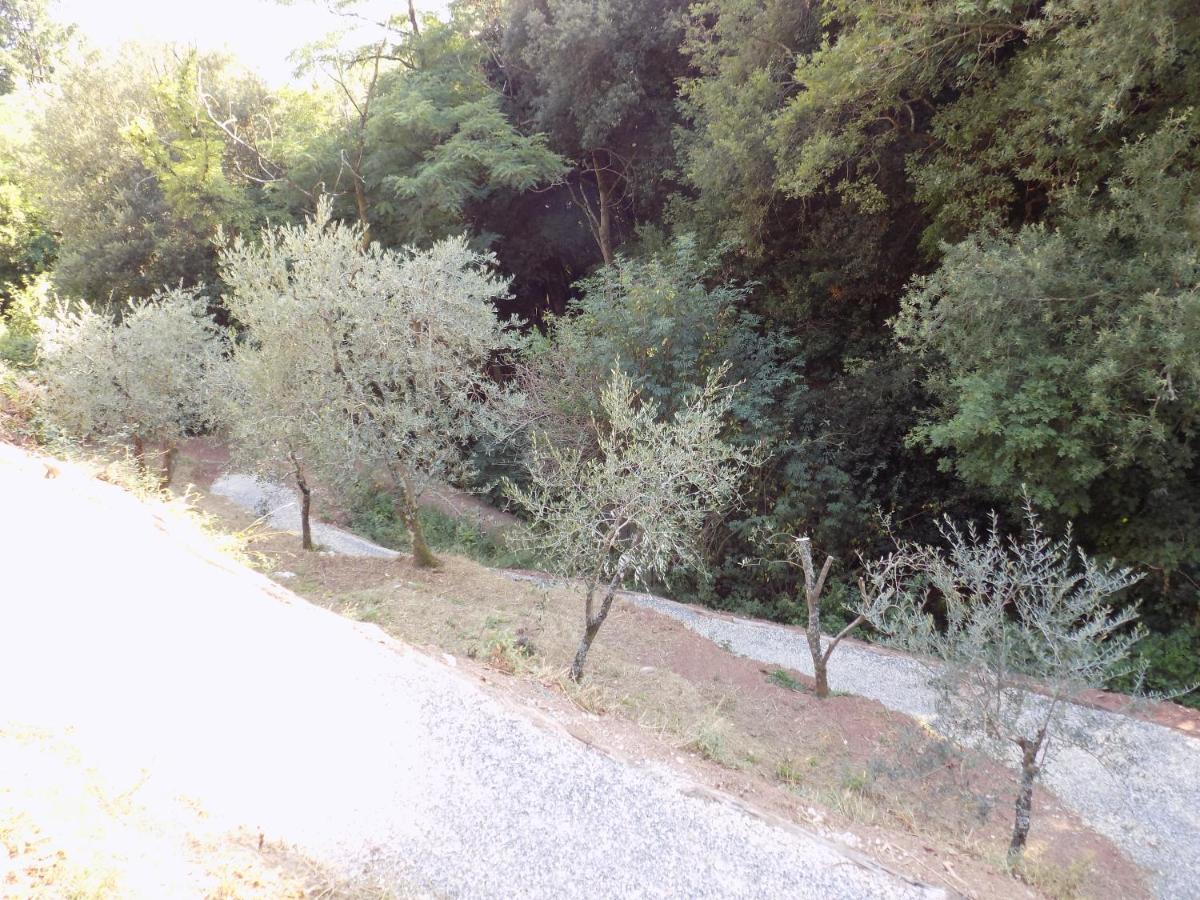 Fattoria Ceragioli Villa Camaiore Eksteriør bilde