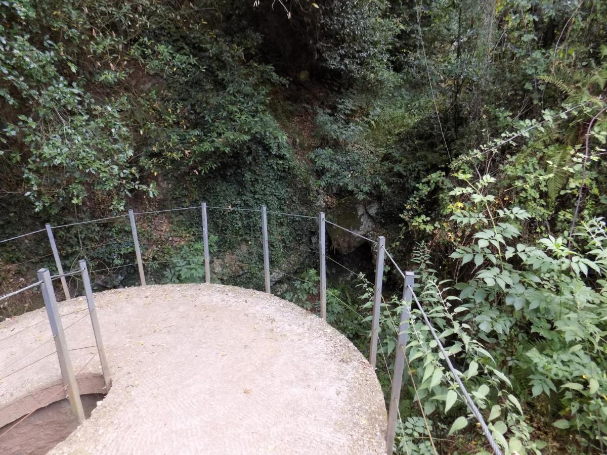 Fattoria Ceragioli Villa Camaiore Eksteriør bilde