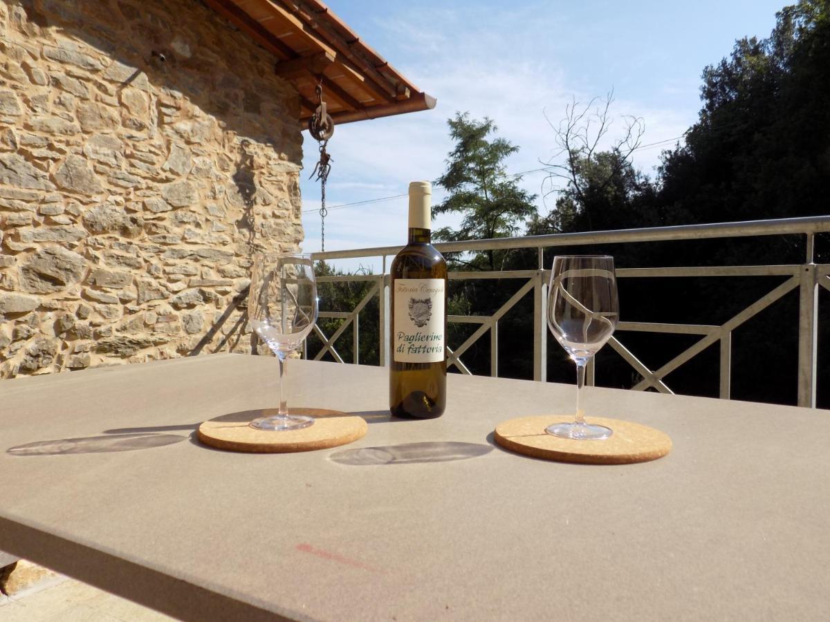 Fattoria Ceragioli Villa Camaiore Eksteriør bilde