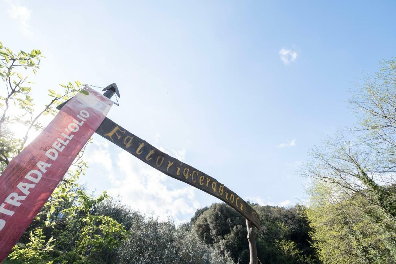 Fattoria Ceragioli Villa Camaiore Eksteriør bilde