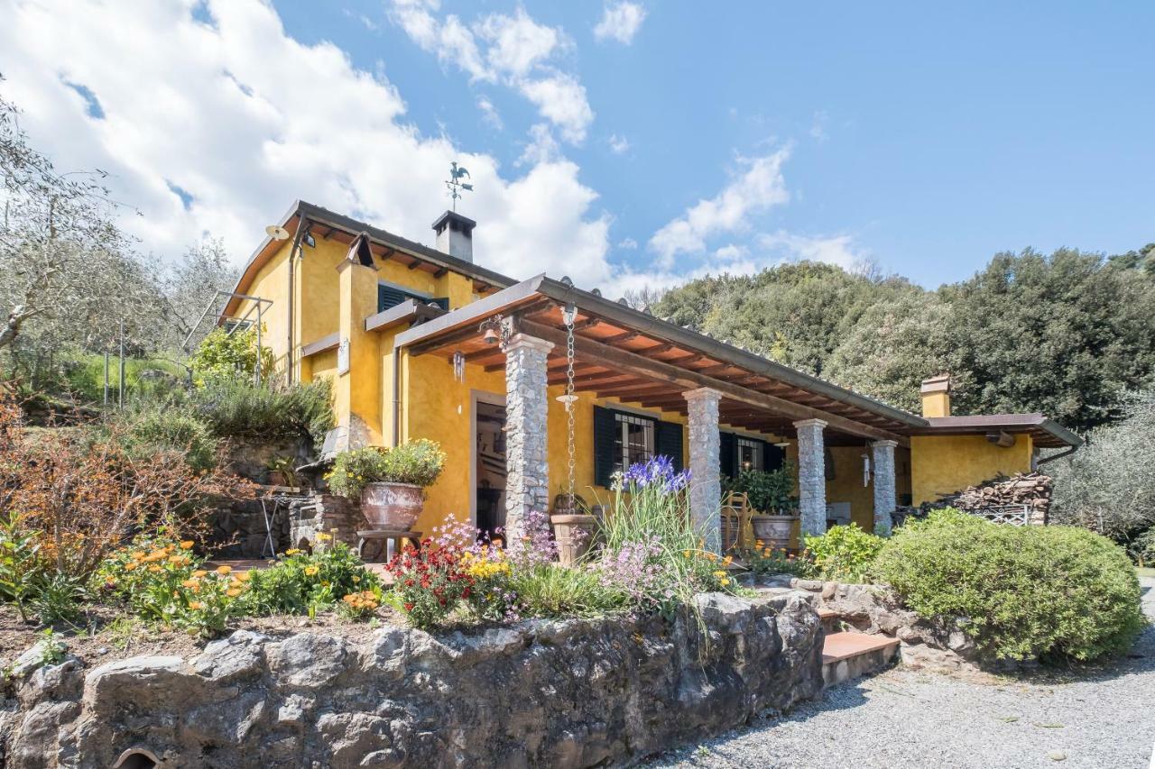 Fattoria Ceragioli Villa Camaiore Eksteriør bilde