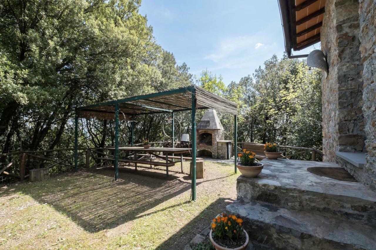 Fattoria Ceragioli Villa Camaiore Eksteriør bilde
